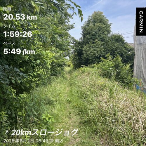 6/2【ラン記録】スロージョグ夜勤明けラン20km|スーパーブラスト